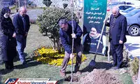 کاشت نهال به یاد سیامند رحمان