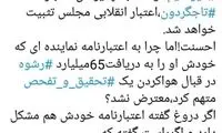انتقاد مهاجری از یک بام و دو هوایِ میرسلیم