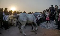 عکس روز نشنال جئوگرافیک؛ رقص نمایشی