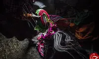 پل ارتباط دو جهان