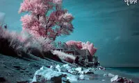 به عکاس این عکس‌ها حسادت می‌کنید