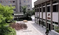 آغاز به کار سالن کوچک مولوی با «شینیون»