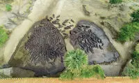 تصاویری متفاوت از حیات وحش آفریقا