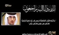 شبکه GEM عزادار شد +عکس