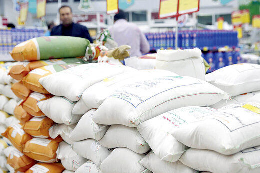 دولت برنج خارجی را ۱۷۰درصد گرانتر می‌فروشد