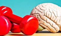 آلزایمر و التهاب مغز را با ورزش کردن برطرف کنید!