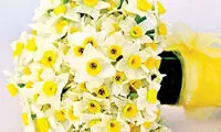 فوت و فن‌هایی برای نگهداری گل نرگس