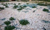 فرونشست زمین در نصف‌جهان، حتمی است