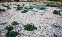 فرونشست زمین در نصف‌جهان، حتمی است