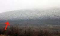 پدیده ای عجیب؛ جنگل یخ زده! +عکس