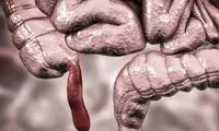 چرا برخی قسمت‌های بدن غیرمنطقی به‌ نظر می‌آید؟