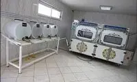 تکنولوژی به بهشت سکینه (س) هم رسید
