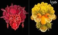 پرتره هایی از میوه و سبزی! +عکس