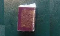 کوچکترین قرآن جهان +عکس