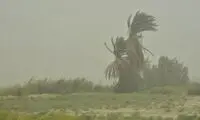 توفان با سرعت ۱۱۵ کیلومتر بر ساعت در زابل
