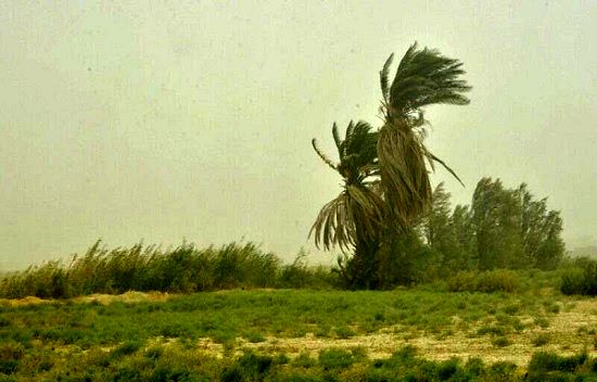 توفان با سرعت ۱۱۵ کیلومتر بر ساعت در زابل