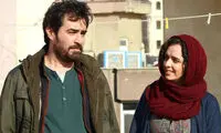 نمایش ویژه «فروشنده» در جشنواره تورنتو