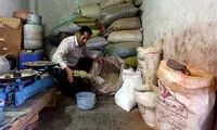 قالی هایی به رنگ طبیعت
