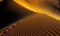 تولید سوخت در بیابان!