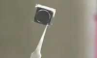 این تراشه اعضای بدن را درمان می کند