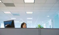 محیط کار و زندگی در میان پارتیشن‌ ها!