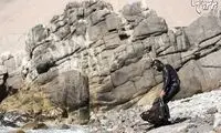 مردی که بادست خالی جوجه تیغی دریایی شکار می کند