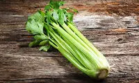 برای رفع عفونت مثانه چی بخورم؟