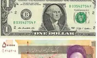 کنایه حمید فرخ نژاد به گران شدن دلار
