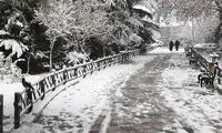 تصاویر حال‌خوب‌کُن از بارش برف در شمال تهران