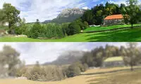 قوه بینایی انسان‌ها یا حیوانات؛ کدام قوی‌تر است؟