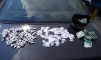 دستگیری خواهر و برادر قاچاقچی با محموله شیشه