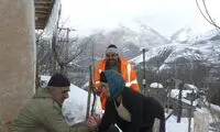 از شعرخوانی زنان برای شوهران تا ترساندن درخت
