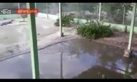 قدرت باور نکردنی کودک بلوچ در رام کردن گاندو‌