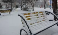 بارش نیم متری برف درخلخال +عکس