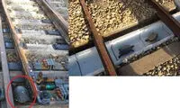 تونل‌هایی کوچک برای لاک‌پشت‌ها +عکس