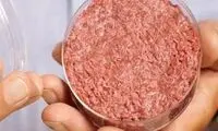 خوردن گوشت دیگر نیازی به کُشتن حیوان ندارد!