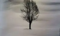 رونمایی از پوستر جشنواره فیلم فجر در برلین