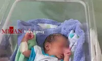 هجوم مورچه ها به نوزادان رها شده