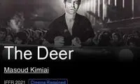چرا رفاقت سید و قدرت هنوز طرفدار دارد؟
