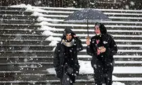 ویدئویی دلچسب از تهران برفی در این ساعات