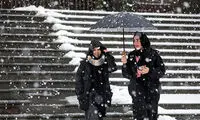 ویدئویی دلچسب از تهران برفی در این ساعات