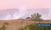 تصاویری غم‌انگیز از فرار کانگورو‌ها از آتش‌سوزی