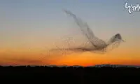 نمایش باورنکردنی سارها در اسپانیا