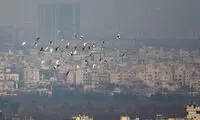 آلودگی هوا سلامت روان کودکان را به خطر می‌اندازد