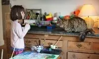 شاهکارهای هنری کودک مبتلا به اوتیسم