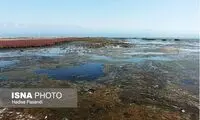 تصویب ۹۰۰میلیارد تومان برای نجات خلیج گرگان