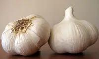 سیر بخورید، سالم بمانید