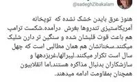 انتقاد زیباکلام از مخالفان داخلی بایدن