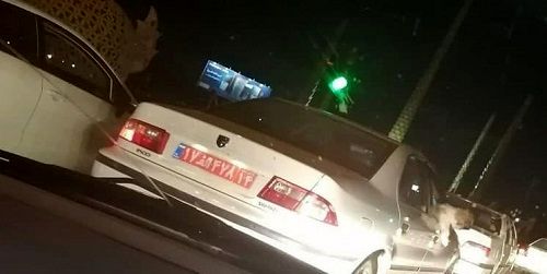 برکناری مدیر به دلیل سگ‌گردانی با خودروی دولت