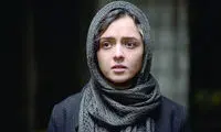 فروشنده، حریم خصوصی و PTSD